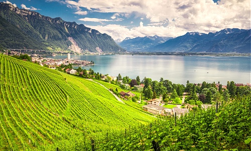 الرياض - جنيفا